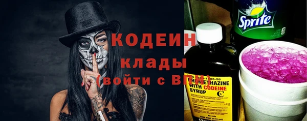 хмурый Михайловск