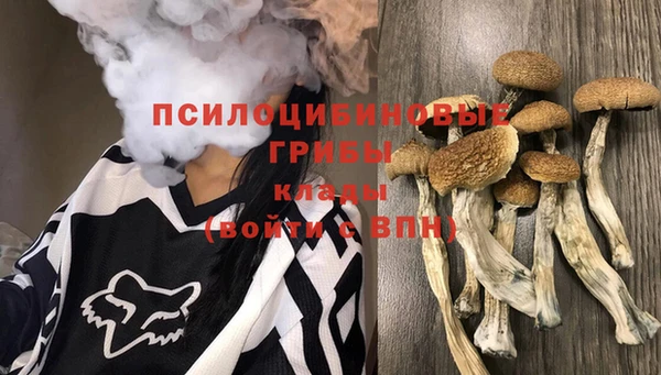 хмурый Михайловск