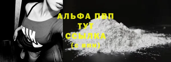 хмурый Михайловск