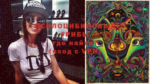 героин Михайлов