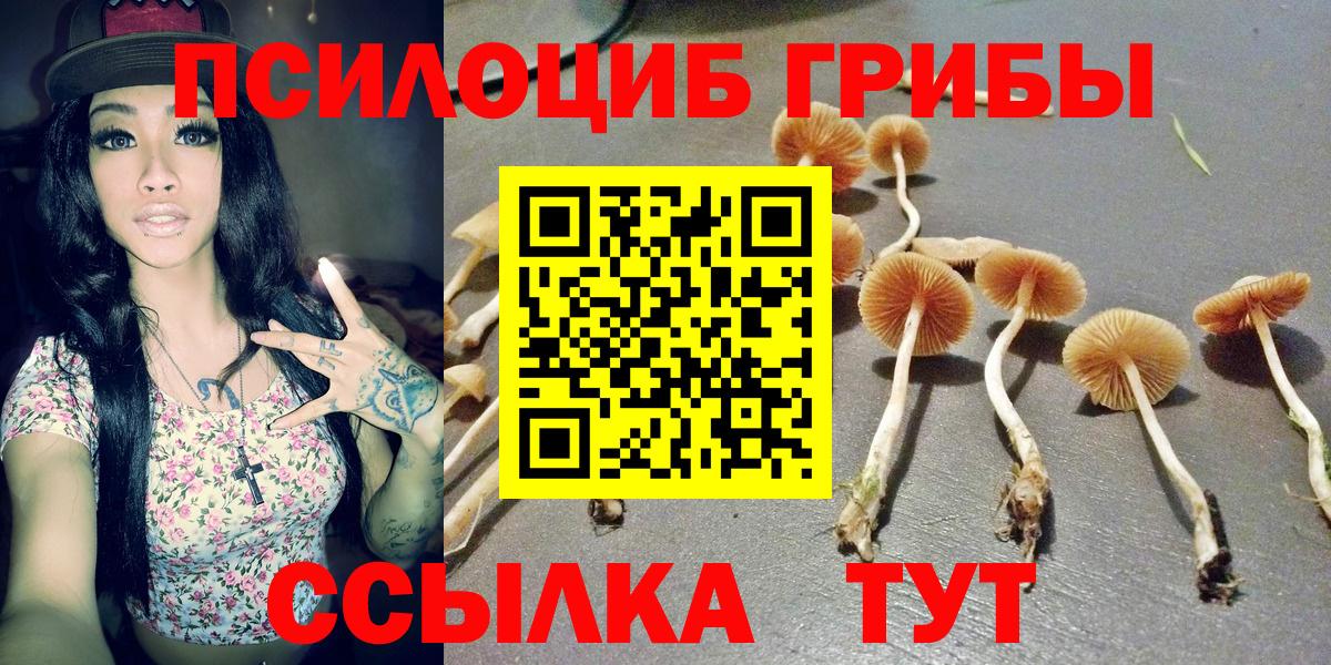 Галлюциногенные грибы мицелий Южно-Сахалинск